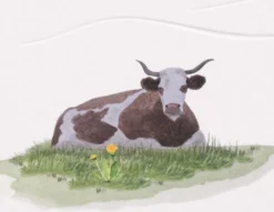 Kartka okolicznościowa A6 - Gmund - Cow Pasture