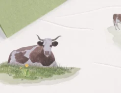 Kartka okolicznościowa A6 - Gmund - Cow Pasture