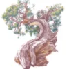 Kredka Drawing - Derwent - 1900 Ash Rose