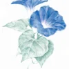 Kredka Drawing - Derwent - 6740 Platinum