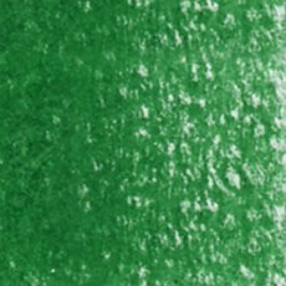 Kredka ołówkowa Artists' - Holbein - 264, Holly Green