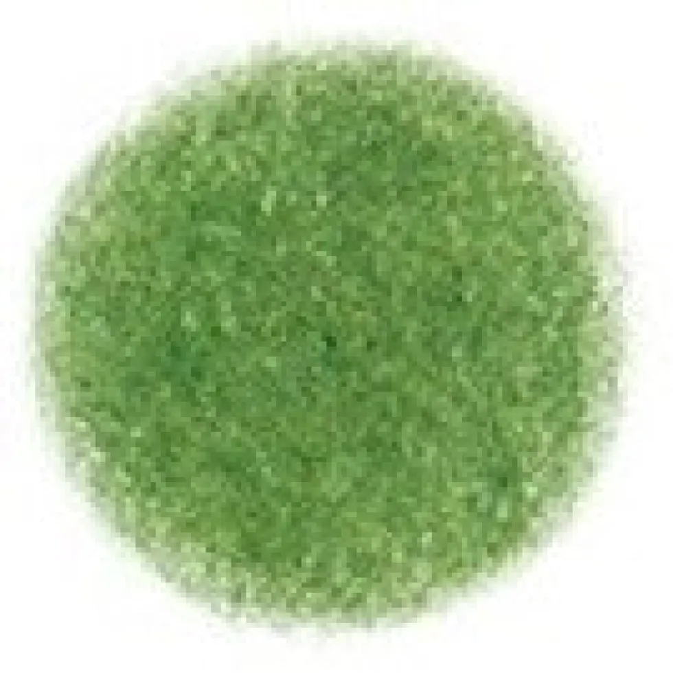 Kredka ołówkowa Irojiten - Tombow - D17, Cactus Green