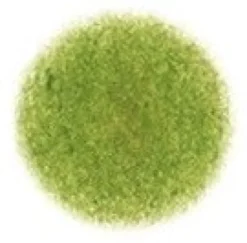 Kredka ołówkowa Irojiten - Tombow - D6, Elm Green
