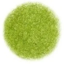 Kredka ołówkowa Irojiten - Tombow - D16, Moss Green