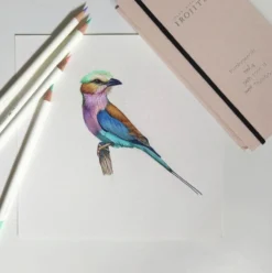Kredka ołówkowa Irojiten - Tombow - V2, Tangerine Orange