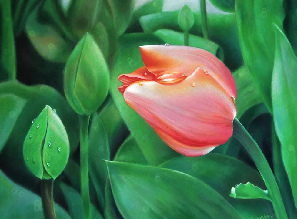 Kredka ołówkowa Polycolor - Koh-I-Noor - 26, Dark Green
