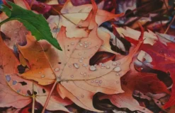 Kredka ołówkowa Polycolor - Koh-I-Noor - 774, Light Jade Green