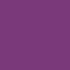 Marker akrylowy - Liquitex - Grape 2 mm