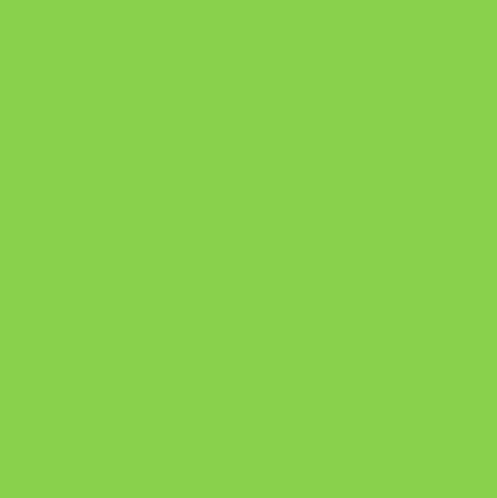 Marker akrylowy - Liquitex - Grass Green 2 mm