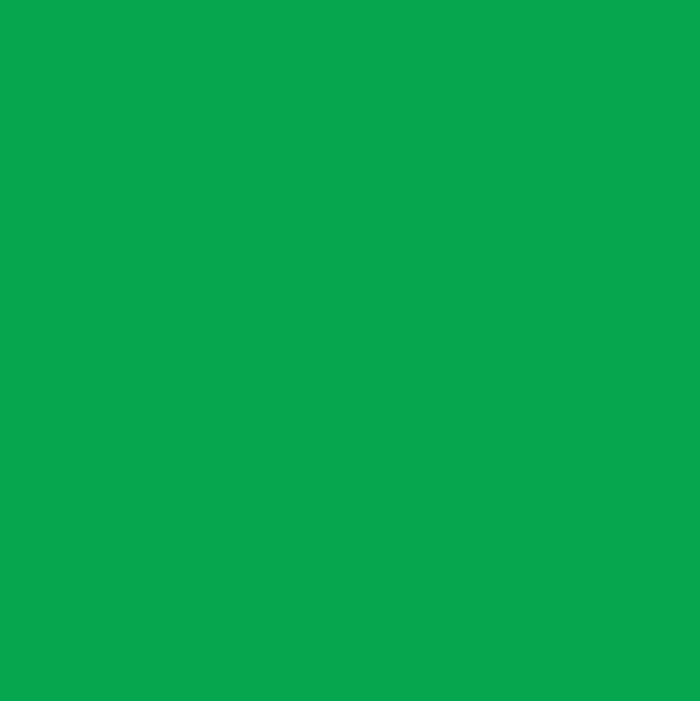 Marker akrylowy - Liquitex - Green 2 mm