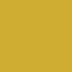 Marker akrylowy - Liquitex - Metallic Gold 2 mm