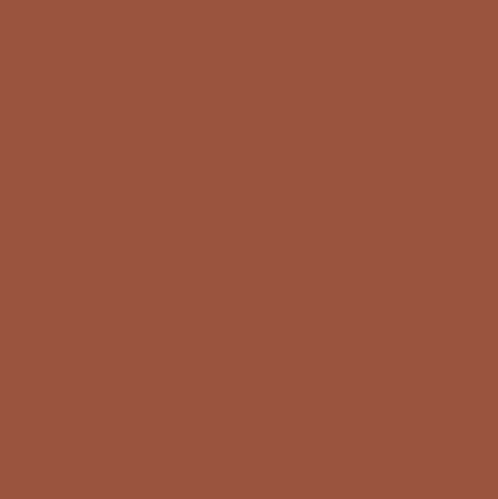Marker akrylowy - Liquitex - Toffee 2 mm