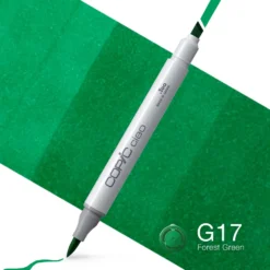 Marker dwustronny Copic Ciao - G17 Forest Green