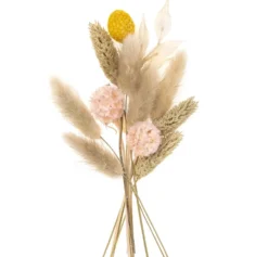 Mini bukiet suszonych kwiatów Beige Touch - DpCraft - 20 cm