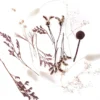 Mini bukiet suszonych kwiatów Miss Mauve - DpCraft - 20 cm