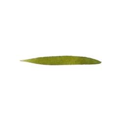Naboje do piór wiecznych - Graf Von Faber-Castell - Olive Green, 6 szt.
