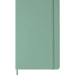 Notatnik gładki Classic L - Moleskine - Sage Green