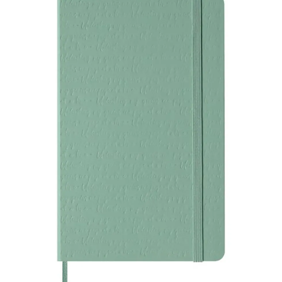 Notatnik gładki Classic L - Moleskine - Sage Green