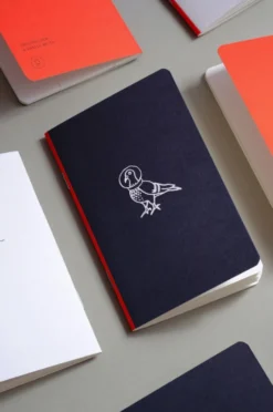 Notes gładki kieszonkowy Astro Gołębica - Papierniczeni - 30 ark.