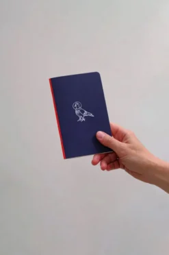 Notes gładki kieszonkowy Astro Gołębica - Papierniczeni - 30 ark.