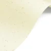Papier Curious Particles 120g - Cream Rose kremowy A4