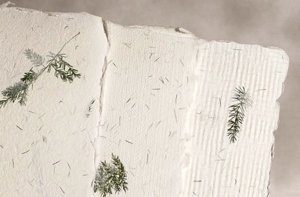 Papier czerpany - Kalander - asparagus, gładki, A5