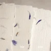 Papier czerpany - Kalander - bławatek, gładki, A5