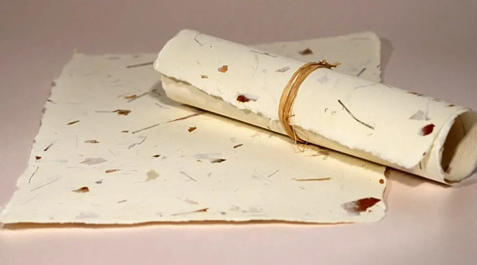 Papier czerpany - Kalander - cebula i trawa, gładki, A4
