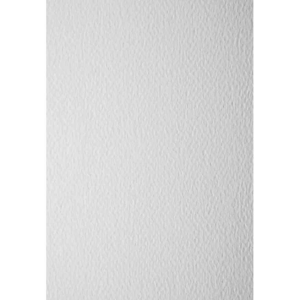 Papier dla plastyków Prisma - Favini - Bianco, A4, 300 g, 20 ark.