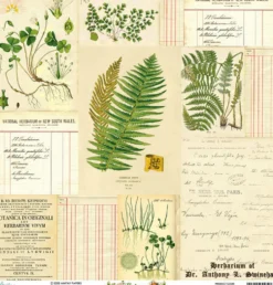 Papier do scrapbookingu 30,5 x 30,5 cm - Mintay - Botany 04