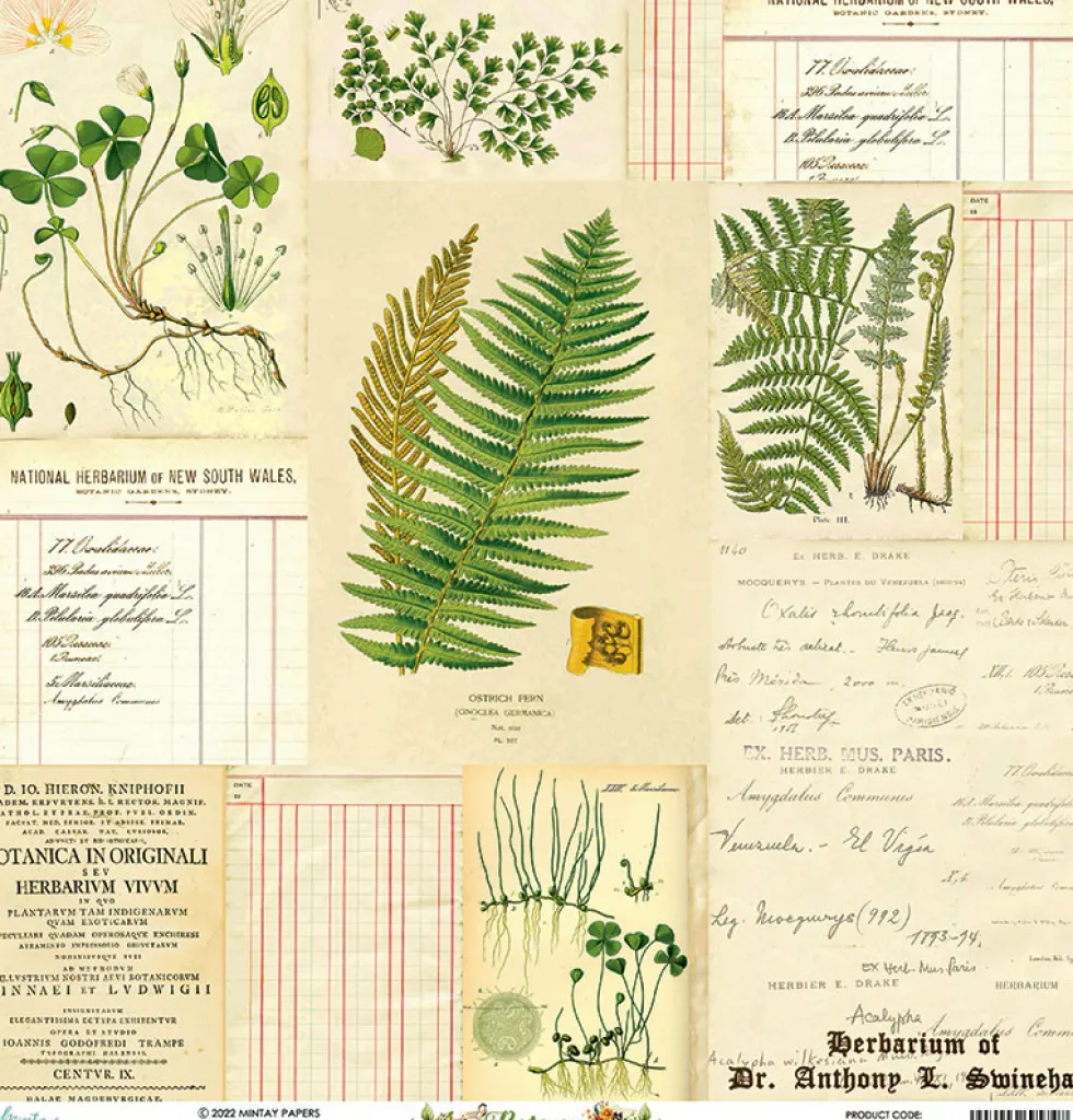 Papier do scrapbookingu 30,5 x 30,5 cm - Mintay - Botany 04