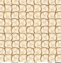 Papier do scrapbookingu 30,5 x 30,5 cm - Mintay - Golden Days 04