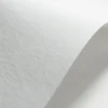 Papier Elfenbens 246g - Skóra (134) biały A4