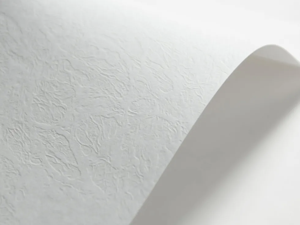 Papier Elfenbens 246g - Skóra (134) biały A4