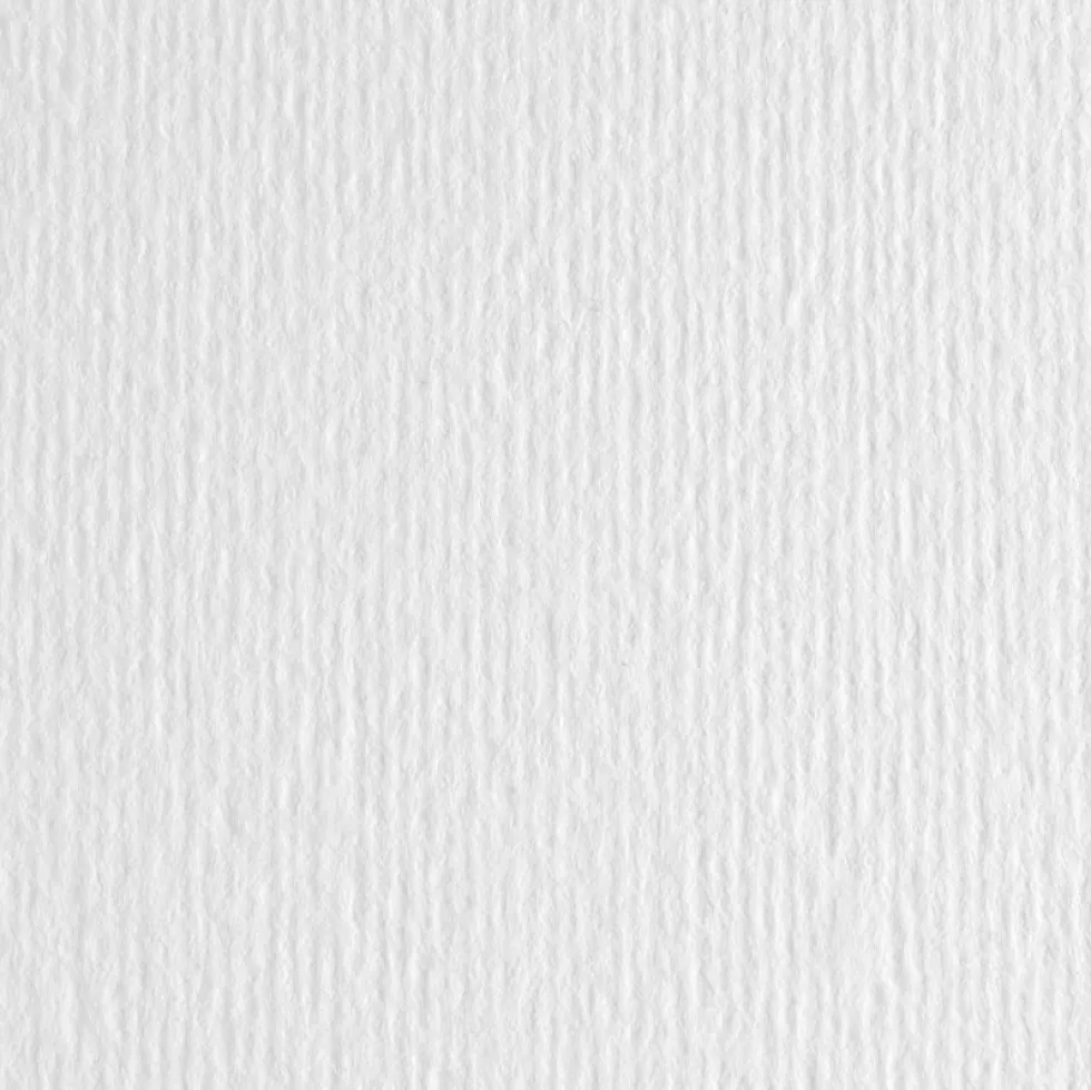 Papier Elle Erre 220g - Fabriano - Bianco, biały, B1