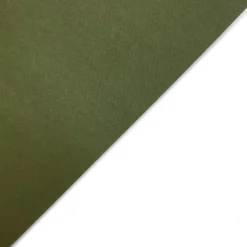 Papier Tintoretto Ceylon 250g - Wasabi oliwkowy A4