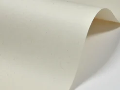 Papier Woodstock 225g - Betulla kremowy A4