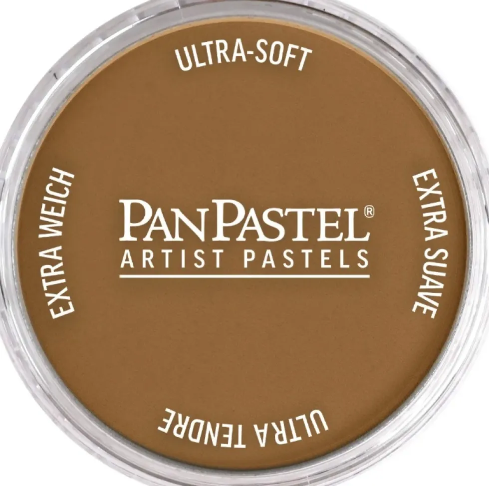 Pastela sucha PanPastel - 760.6 Burnt Umber Medium