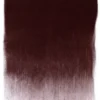 Pastela sucha PanPastel - 350.1 Crimson Extra Dark