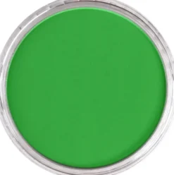 Pastela sucha PanPastel - 640.5 Permanent Green