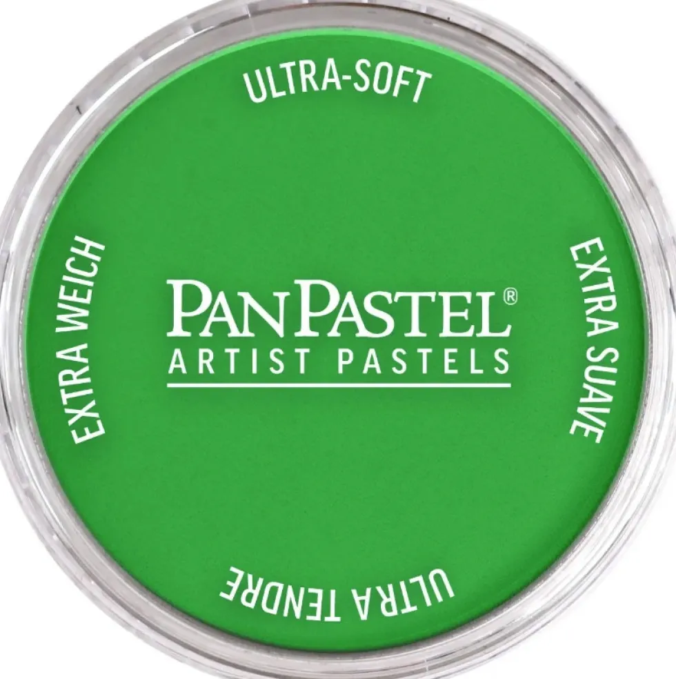Pastela sucha PanPastel - 640.5 Permanent Green