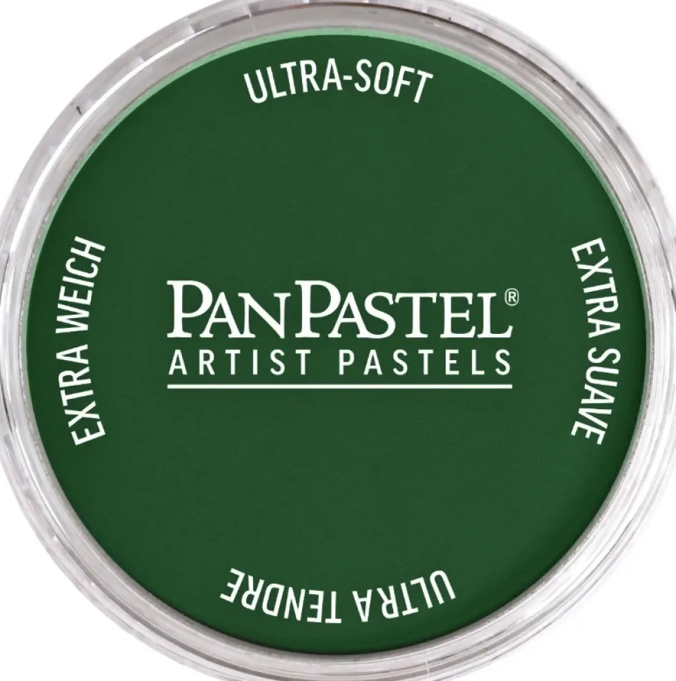 Pastela sucha PanPastel - 640.1 Permanent Green Extra Dark