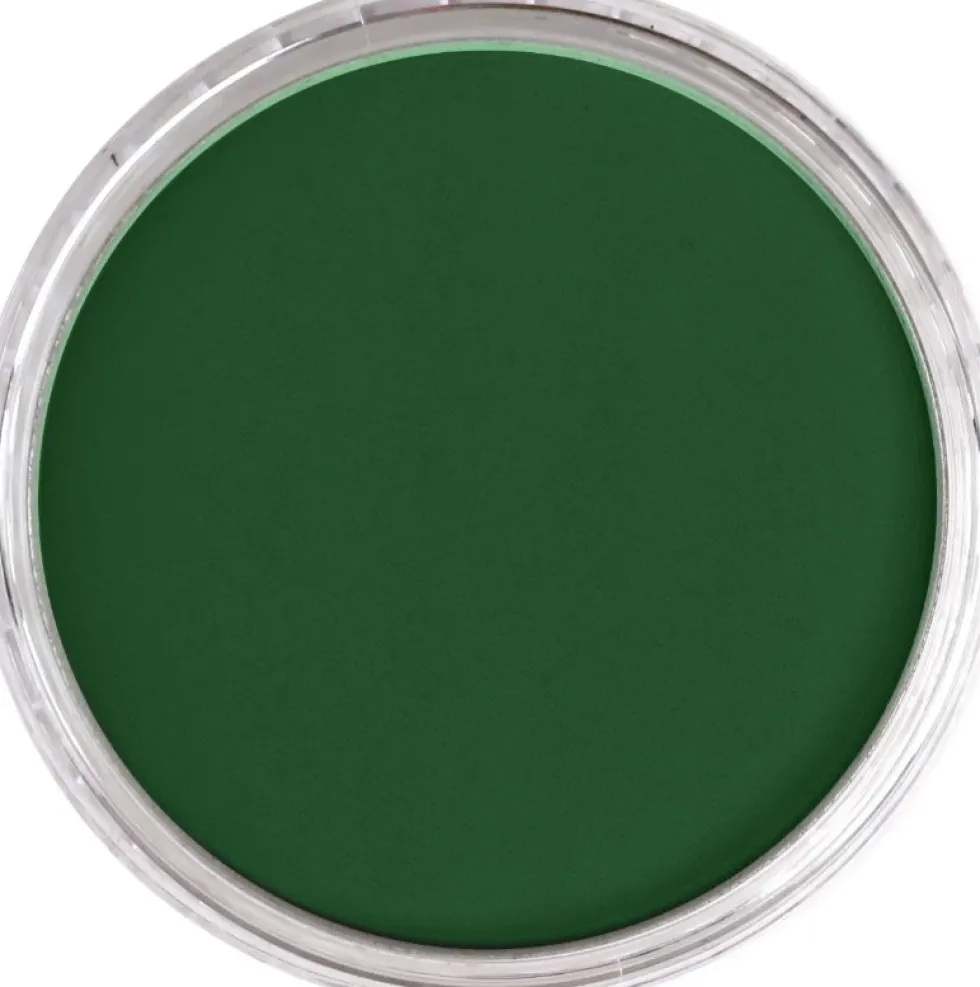 Pastela sucha PanPastel - 640.1 Permanent Green Extra Dark
