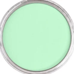 Pastela sucha PanPastel - 640.8 Permanent Green Tint