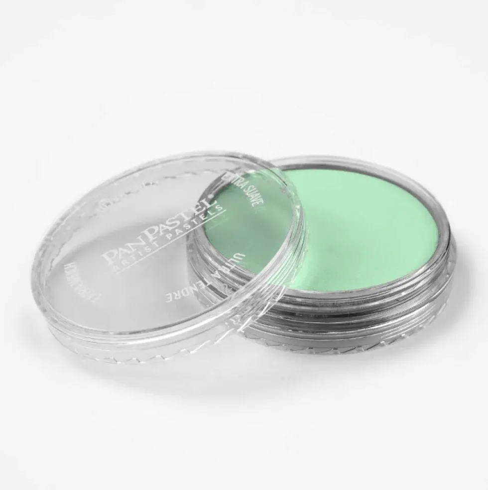 Pastela sucha PanPastel - 640.8 Permanent Green Tint