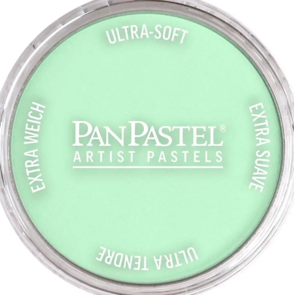 Pastela sucha PanPastel - 640.8 Permanent Green Tint