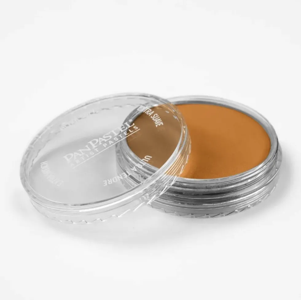 Pastela sucha PanPastel - 710.5 Raw Sienna