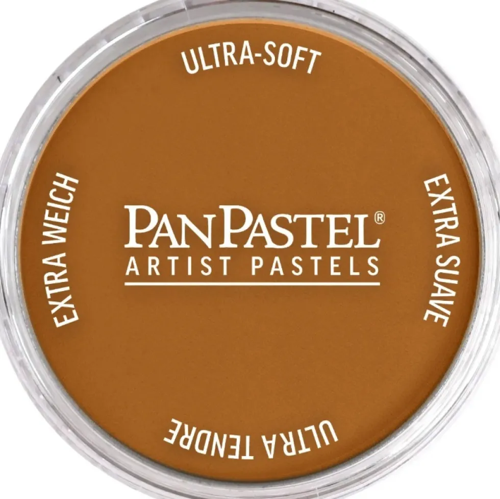 Pastela sucha PanPastel - 710.5 Raw Sienna