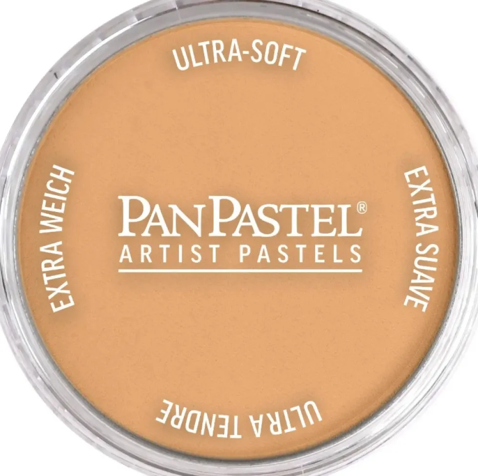 Pastela sucha PanPastel - 710.7 Raw Sienna Light