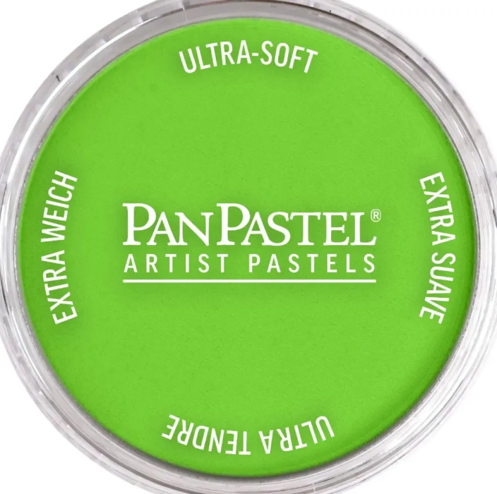 Pastela sucha PanPastel - 690.5 Yellow Green